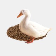 xduck-feed-finisher-300x185.jpg.pagespeed.ic.K0peNw0ccx