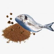 xfish-products.jpg.pagespeed.ic.pzvM2Djtuy xfish-products.jpg.pagespeed.ic.pzvM2Djtuy